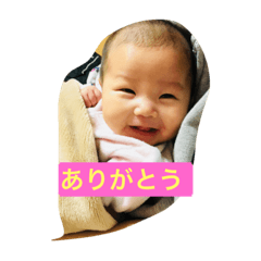 [LINEスタンプ] 咲乃スタンプ