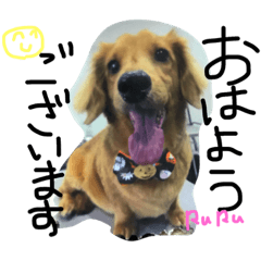 [LINEスタンプ] るる＆だぶの日常パート04