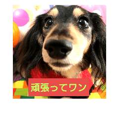 [LINEスタンプ] しおんちゃんです