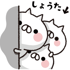 [LINEスタンプ] 動く！全力ねこ【しょうた】