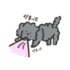 [LINEスタンプ] 真っ黒トイプーもこたんスタンプ