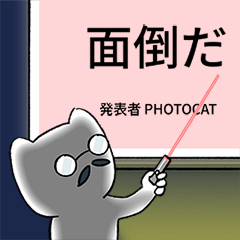 [LINEスタンプ] Photocat's Presentation