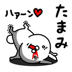 [LINEスタンプ] たまみ専用うさぎ名前スタンプ