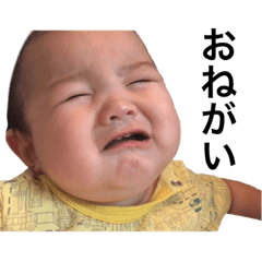 [LINEスタンプ] OKINAWA family stamp