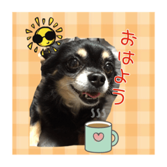 [LINEスタンプ] ウィルくんの日常