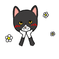 [LINEスタンプ] ヤマギワさん家のハチワレちゃん