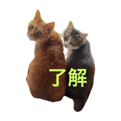 [LINEスタンプ] きなこ＆あんこ