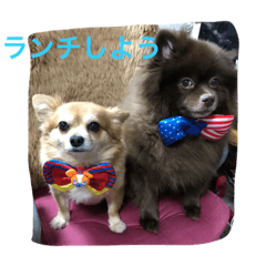 [LINEスタンプ] 犬ばかその5