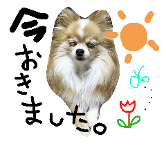 [LINEスタンプ] Bow Wow Life