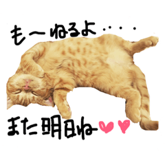 [LINEスタンプ] cha  cha CAT stamp