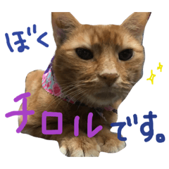 [LINEスタンプ] ぼくチロルです。