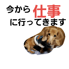 [LINEスタンプ] dog-