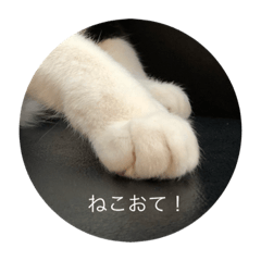 [LINEスタンプ] はちわれ猫スタの画像（メイン）