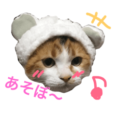 [LINEスタンプ] そらちお