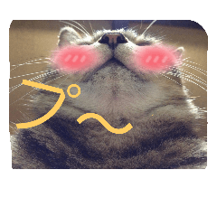 [LINEスタンプ] ももcat3