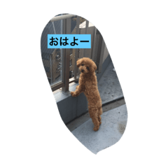 [LINEスタンプ] デール