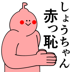 [LINEスタンプ] しょうちゃんは最高！日常編2