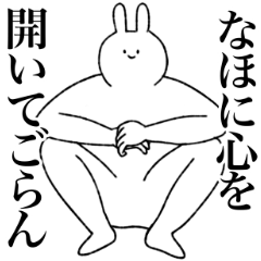 [LINEスタンプ] なほ専用！便利な名前スタンプ