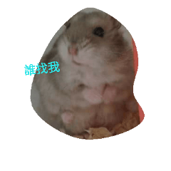 [LINEスタンプ] Hamster beans