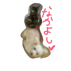 [LINEスタンプ] mohanosuke06