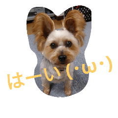 [LINEスタンプ] reoreoreochanPart2