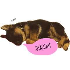 [LINEスタンプ] ジャーマンシェパード LiLiちゃん