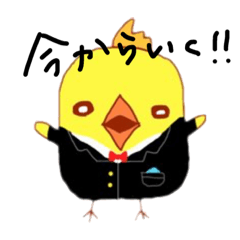 [LINEスタンプ] トリさんのすたんぷ