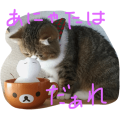 [LINEスタンプ] べにべに1