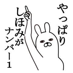 [LINEスタンプ] しほみが使う面白名前スタンプ