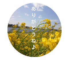 [LINEスタンプ] お庭の花たち2