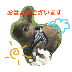 [LINEスタンプ] サンタ＆きらり