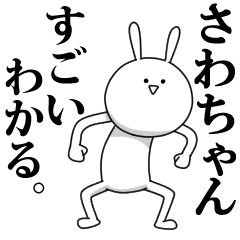 [LINEスタンプ] きも動く‼さわちゃん専用名前スタンプ