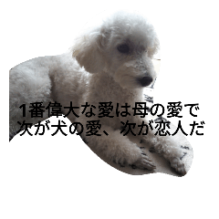 [LINEスタンプ] バニラの毎日7