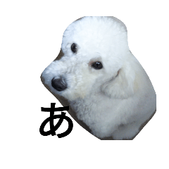 [LINEスタンプ] バニラの毎日 ひらがな1