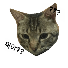 [LINEスタンプ] Gleen's Cat