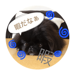 [LINEスタンプ] 黒ごま。。。。。