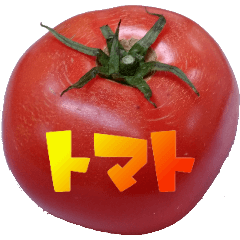 [LINEスタンプ] トマト物語 ～僕はトマトに恋をする～