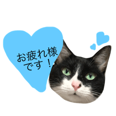 [LINEスタンプ] クロコロな日々【敬語編】