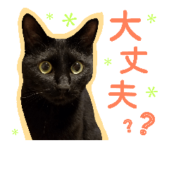 [LINEスタンプ] kiki.K