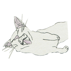 [LINEスタンプ] Cute cat illustration sticker