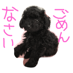 [LINEスタンプ] ベイビーあんちゃん2