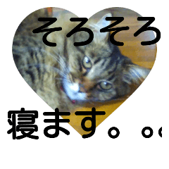 [LINEスタンプ] けいとたか