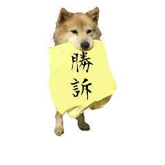 [LINEスタンプ] 雑種犬タロー追加。