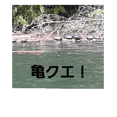 [LINEスタンプ] ふかしもの写真