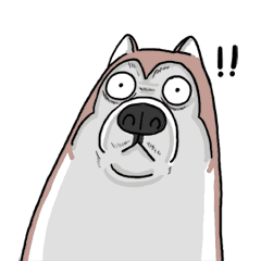 [LINEスタンプ] funny Husky DOGの画像（メイン）