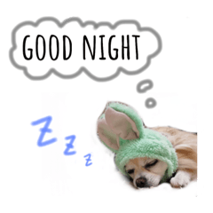 [LINEスタンプ] うちのちっちゃいの
