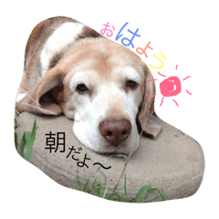 [LINEスタンプ] ちょこちっぷ