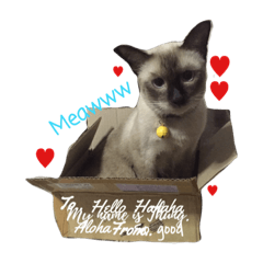 [LINEスタンプ] Thung Thang and Mantou