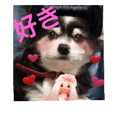 [LINEスタンプ] チャッピーお試し