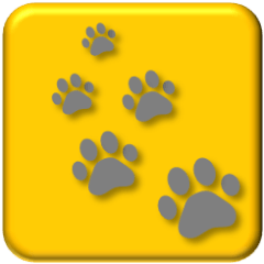 [LINEスタンプ] 犬の足跡が付いたスタンプの画像（メイン）
